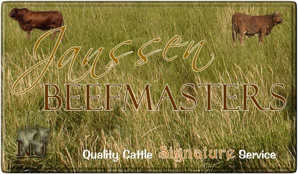 Janssen Registered Beefmaster Show  Heifers, Bulls & Cattle