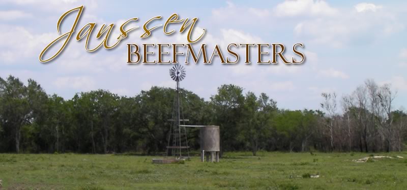 Janseen Beefmaster Breeder Ranch - Victoria, Texas